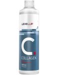 Collagen концентрат